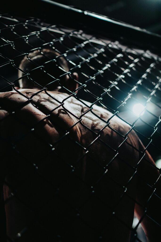 Moody shot of a muscular MMA fighter seen through the cage at night, Vienna.
