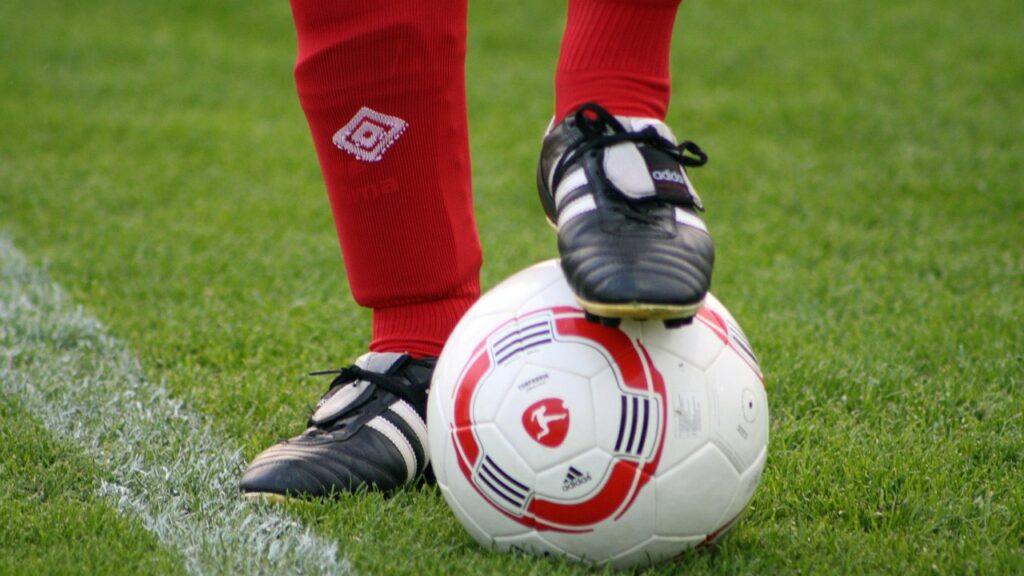 soccer, football pitch, lawn, sports ground, sports, ball, football boots, football match, grass, playing field, football field, ball sports, world championship, competition, city square, playing surface, sport, world cup, support, shin guards, shoot a goal, fun, gate, shoot, game device, world champion, footballers, football, ball game, soccer, world cup, world cup, world cup, world cup, world cup